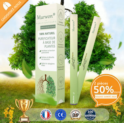 Diffuseur 𝑴𝒖𝑟𝑤𝗈𝗇® à base de plantes Mullein pour le nettoyage des poumons (🫁 Toux, pharyngite, essoufflement, expectorations, nez bouché, bronchite, symptômes allergiques, inconfort pulmonaire)💖