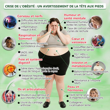 30 % de réduction | 𝑴𝒖𝒓won® 𝑴𝒐𝒓𝒊𝒏𝒈𝒂 & 𝑩𝒆𝒓𝒃é𝒓𝒊𝒏𝒆 10-𝒆𝒏-1 𝑷𝒂𝒕𝒄𝒉 𝑨𝒗𝒂𝒏𝒄é 𝒅𝒆 𝑴𝒊𝒄𝒓𝒐𝒏𝒆𝒆𝒅𝒍𝒆𝒔 𝑵𝒂𝒏𝒐 (𝐔𝐧𝐞 𝐚𝐩𝐩𝐥𝐢𝐜𝐚𝐭𝐢𝐨𝐧 𝐩𝐚𝐫 𝐣𝐨𝐮𝐫, 𝐜𝐡𝐚𝐧𝐠𝐞𝐦𝐞𝐧𝐭𝐬 𝐯𝐢𝐬𝐢𝐛𝐥𝐞𝐬 𝐞𝐧 𝟕 𝐣𝐨𝐮𝐫𝐬) 𝐎𝐛é𝐬𝐢𝐭é · 𝐃𝐢𝐚𝐛è𝐭𝐞 · 𝐀𝐩𝐧é𝐞 𝐝𝐮 𝐬𝐨𝐦𝐦𝐞𝐢𝐥 · 𝐏𝐫𝐨𝐛𝐥è𝐦𝐞𝐬 𝐚𝐫𝐭𝐢𝐜𝐮𝐥𝐚𝐢𝐫𝐞𝐬