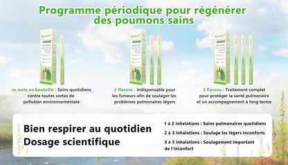 Diffuseur 𝑴𝒖𝑟𝑤𝗈𝗇® à base de plantes Mullein pour le nettoyage des poumons (🫁 Toux, pharyngite, essoufflement, expectorations, nez bouché, bronchite, symptômes allergiques, inconfort pulmonaire)💖