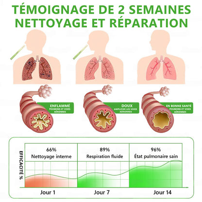 Diffuseur 𝑴𝒖𝑟𝑤𝗈𝗇® à base de plantes Mullein pour le nettoyage des poumons (🫁 Toux, pharyngite, essoufflement, expectorations, nez bouché, bronchite, symptômes allergiques, inconfort pulmonaire)💖